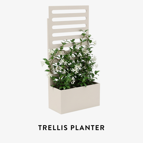 Trellis Planter