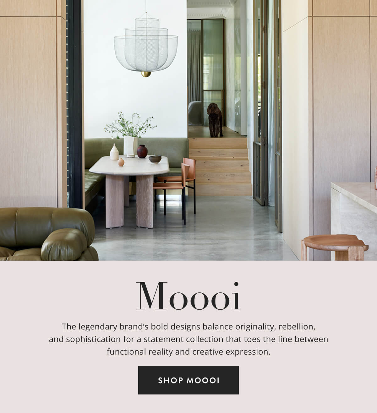 Shop Moooi