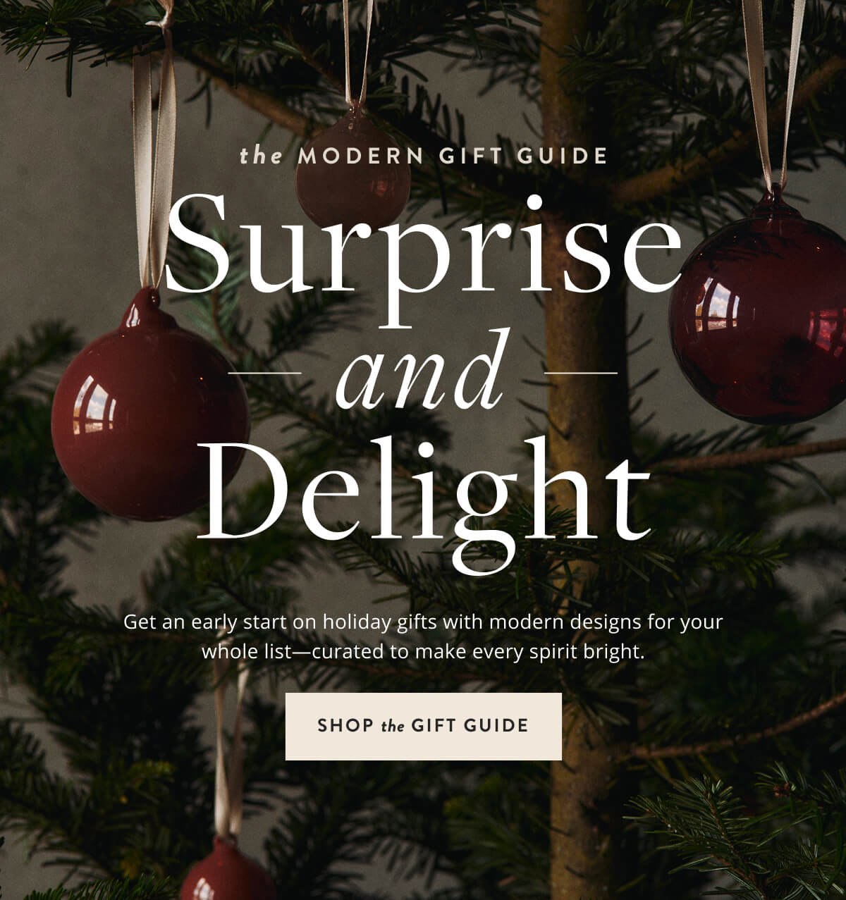 Shop Gift Guide