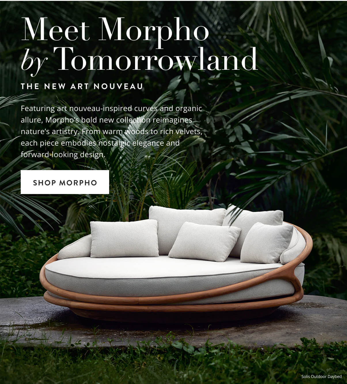 Morpho by Tomorrowland