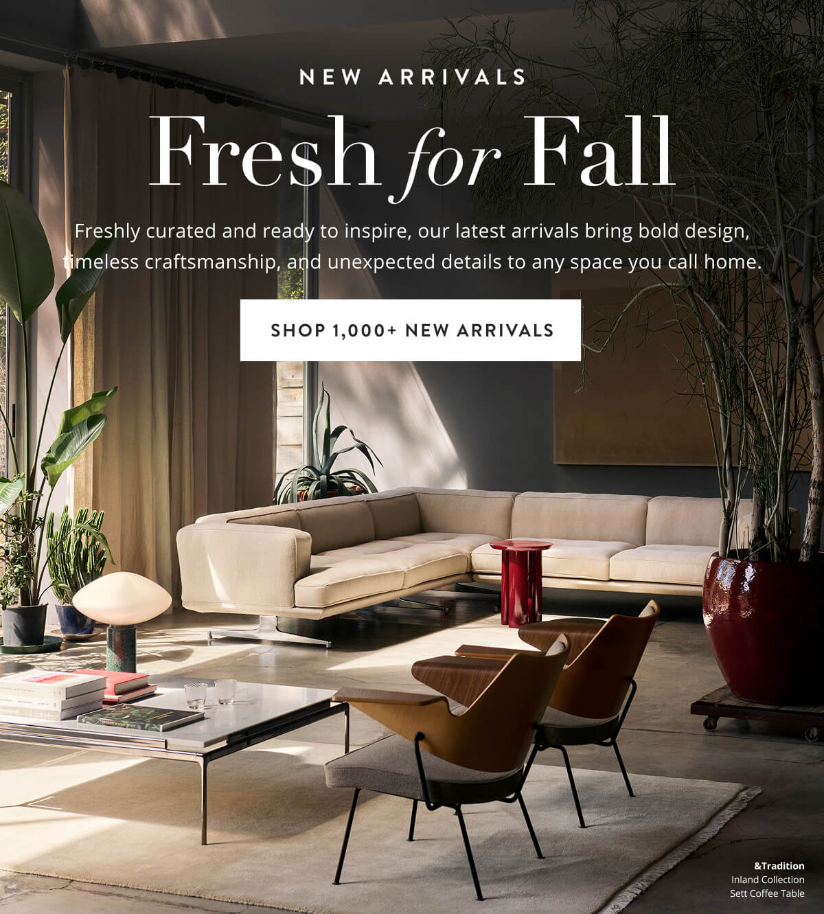 Shop New Arrivals