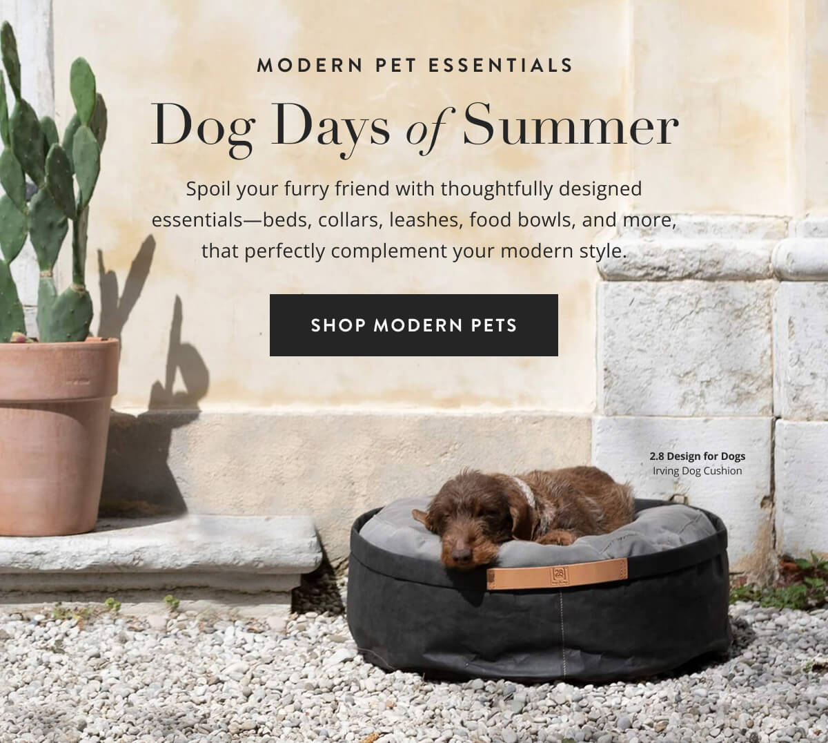 Shop Modern Pets
