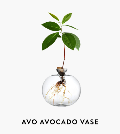 Avo avocado vase