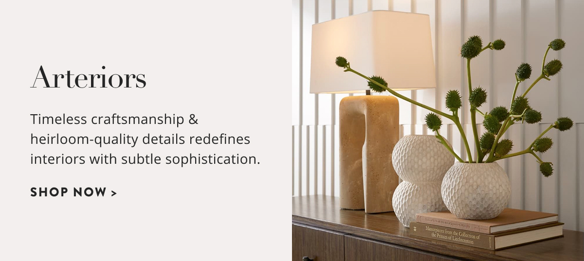Shop Arteriors