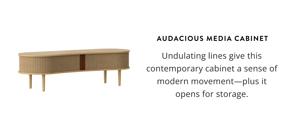 Audacious Media Cabinet