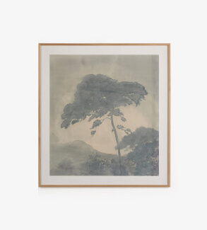 Amber Lewis x Four Hands Canopy by Chelsea Fly Wall Art