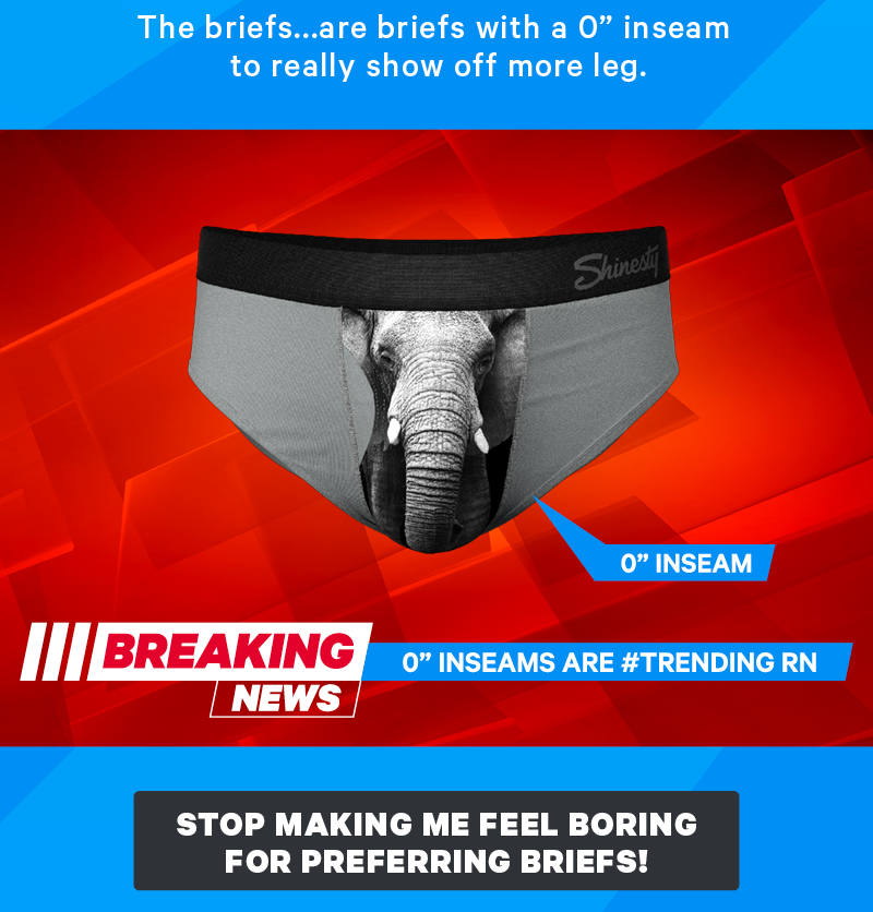 The briefs...are briefs with a 0” inseam to really show off more leg.  (Image: Diagram of Briefs with an arrow pointing to them that says “Briefs”)  [CTA: “Stop making me feel boring for preferring briefs!”]