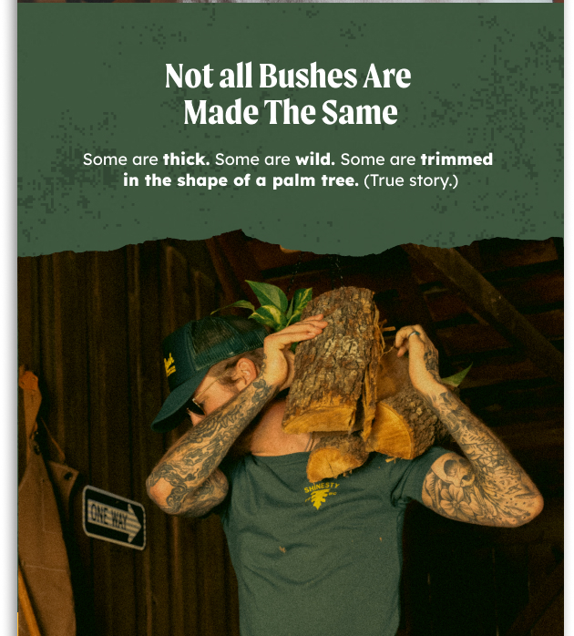 Not all bushes are made the same. Some are thick. Some are wild. Some are trimmed int eh shape of a palm tree. (true story.)