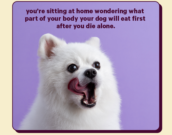 you’re sitting at home wondering what part of your body your dog will eat first after you die alone. 