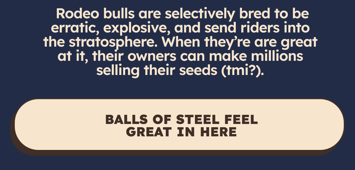 Rodeo bulls are selectively bred to be erratic, explosive, and send riders into the stratosphere. Their bloodlines are the result of generations of aggressive-tendancy breeding. When bulls are great at it, their owners can make millions selling their seeds (tmi?).  CTA: Balls of Steel Feel Great In Here