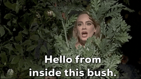 Stay Dangerously Comfortable&nbsp; & My boss made me use this gif