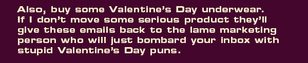 Also, buy some Valentine’s Day underwear. If I don’t move some serious product they’ll give these emails back to the lame marketing person who will just bombard your inbox with stupid Valentine’s Day puns.