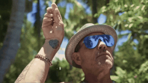 Stay Dangerously Comfortable & My boss made me use this gif