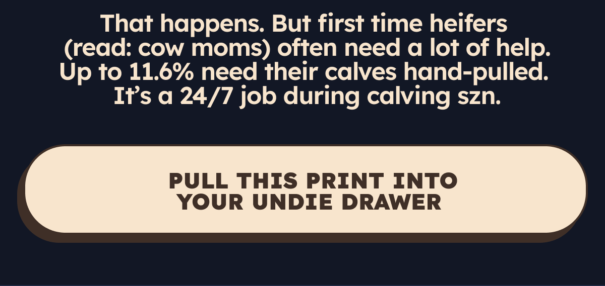  That happens. But first time heifers (read: cow moms) often need a lot of help. Up to 11.6% of them need the calves hand-pulled. It’s literally a 24/7 job during calving szn.