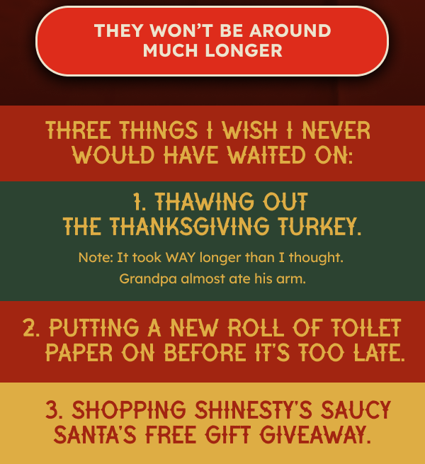 Other things I wish I never would have waited on: Thawing out the Thanksgiving turkey.  Note: It took WAY longer than I thought. Grandpa almost ate his arm. Putting a new roll of toilet paper on before it’s too late. Shopping Shinesty’s Saucy Santa’s Free Gift Giveaway