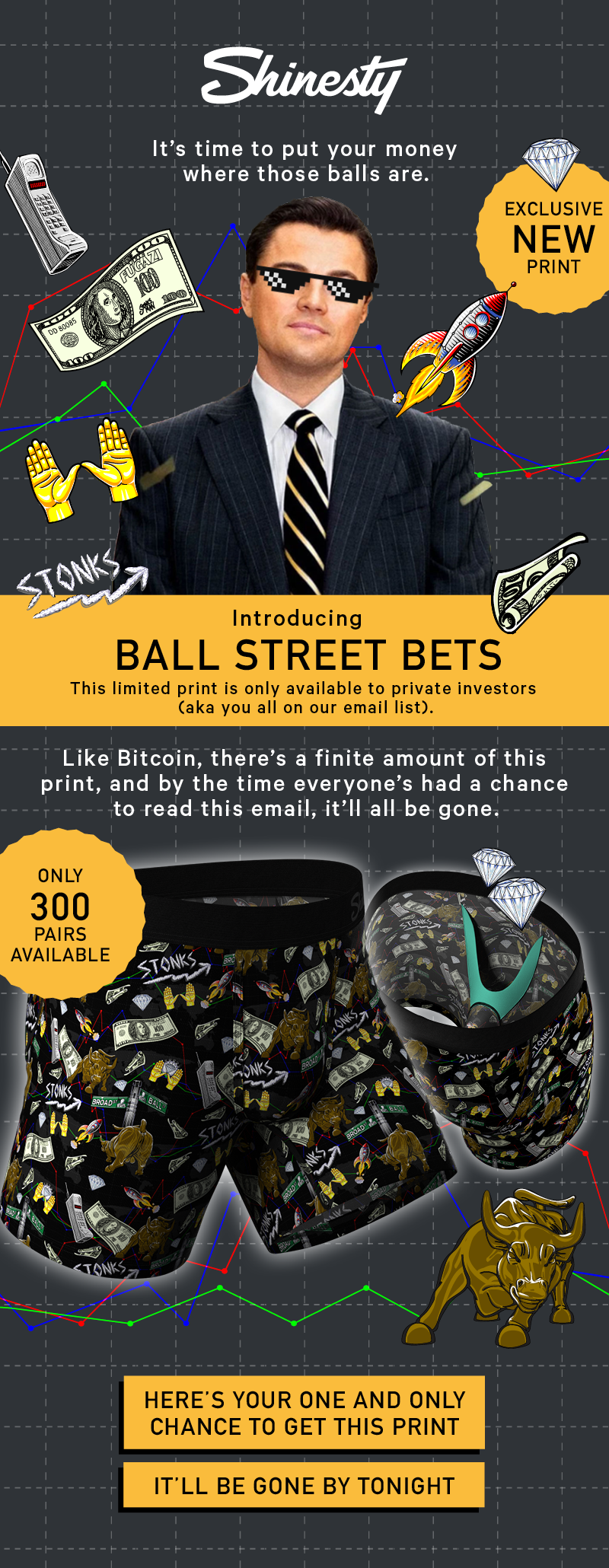 The best thing about stonks is that they ain't ever leaving. Like Bitcoin, there's a finite amount of this print, and by the time everyone's had a chance to read this email, it'll all be gone. Here's your one and only chance to get this print. it'll be gone by tonight