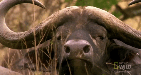 Stay Weird & My boss made me use this gif