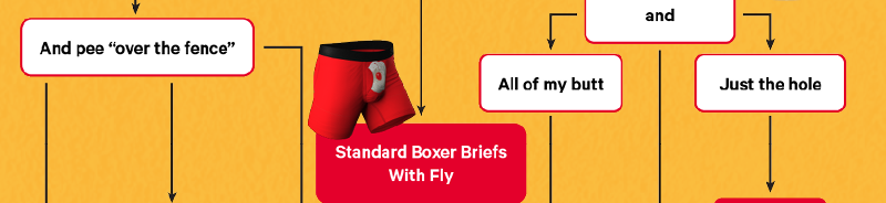 Boxer with fly