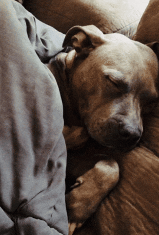 Stay Weird & My boss made me use this gif