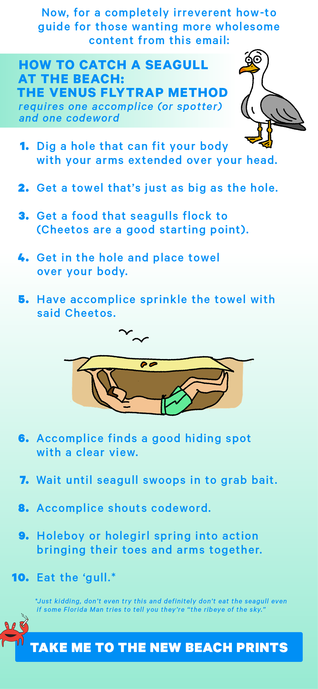 Now, for a completely irreverent how-to guide for those wanting more wholesome content from this email:   How To Catch A Seagull At The Beach: The Venus Flytrap Method requires one accomplice (or spotter) and one codeword Dig a hole that can fit your body with your arms extended over your head Get a towel that’s just as big as the hole Get a food that seagulls flock too (Cheetos are a good starting point) Get in the hole and place towel over your body Have accomplice sprinkle the towel with said Cheetos Accomplice finds a good hiding spot with a clear view  Wait until seagull swoops in to grab bait Accomplice shots codwork Holeboy or holegirl spring into action bringing their toes and arms together Eat the ‘gull*  Just kidding, don’t even try this and definitely don’t eat the seagull even if some Florida Man tries to tell you they’re “the ribeye of the sky.”