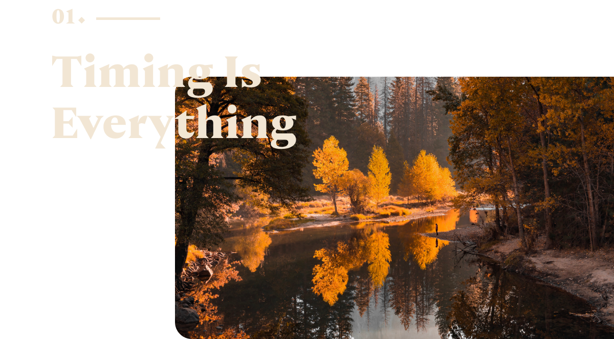 01 - Timing Is Everything. Image lake with trees around it.