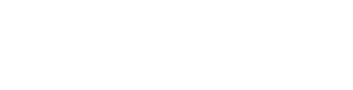 Humboldt Institute for Internet and Society