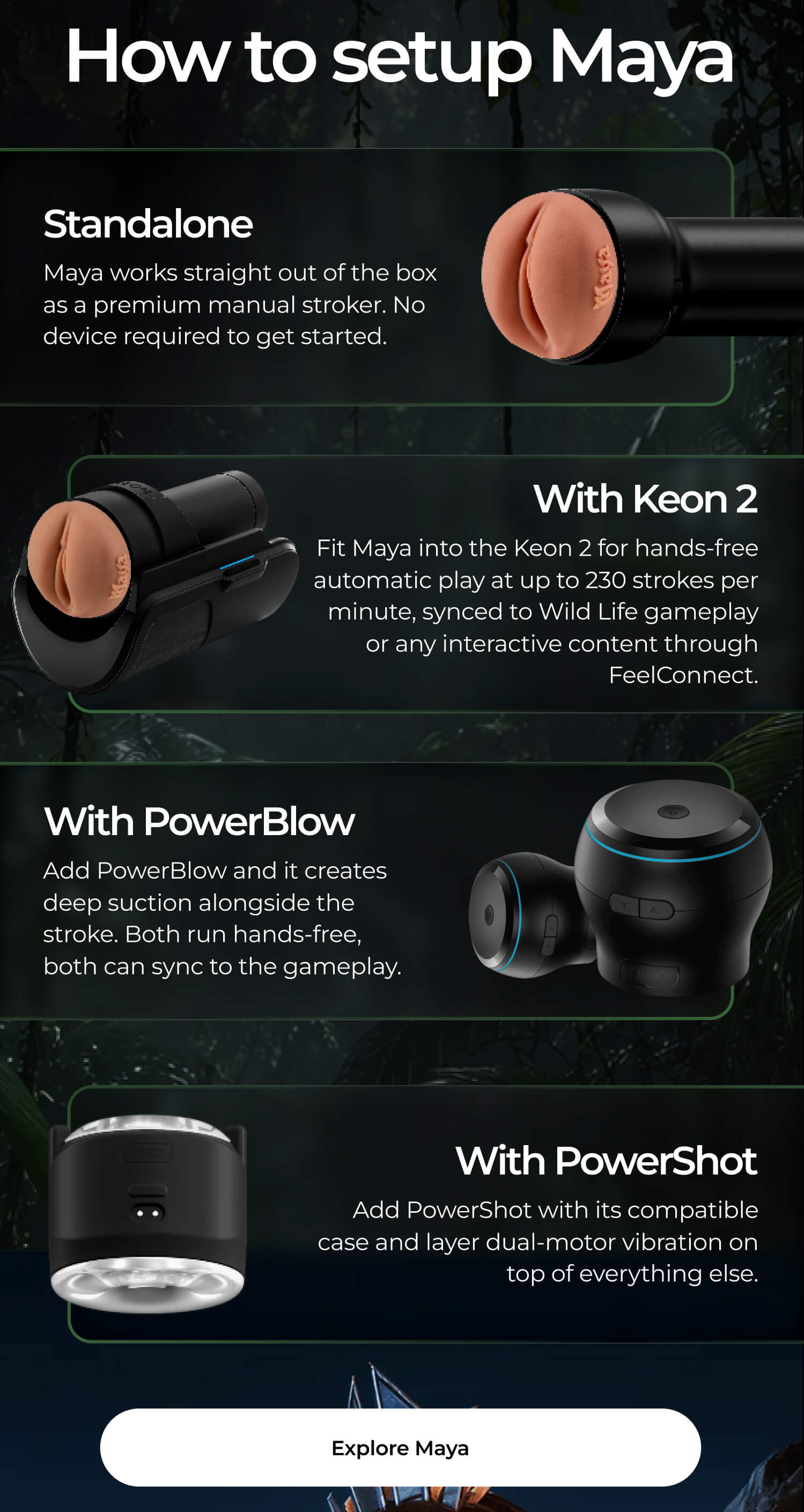 How to setup Maya