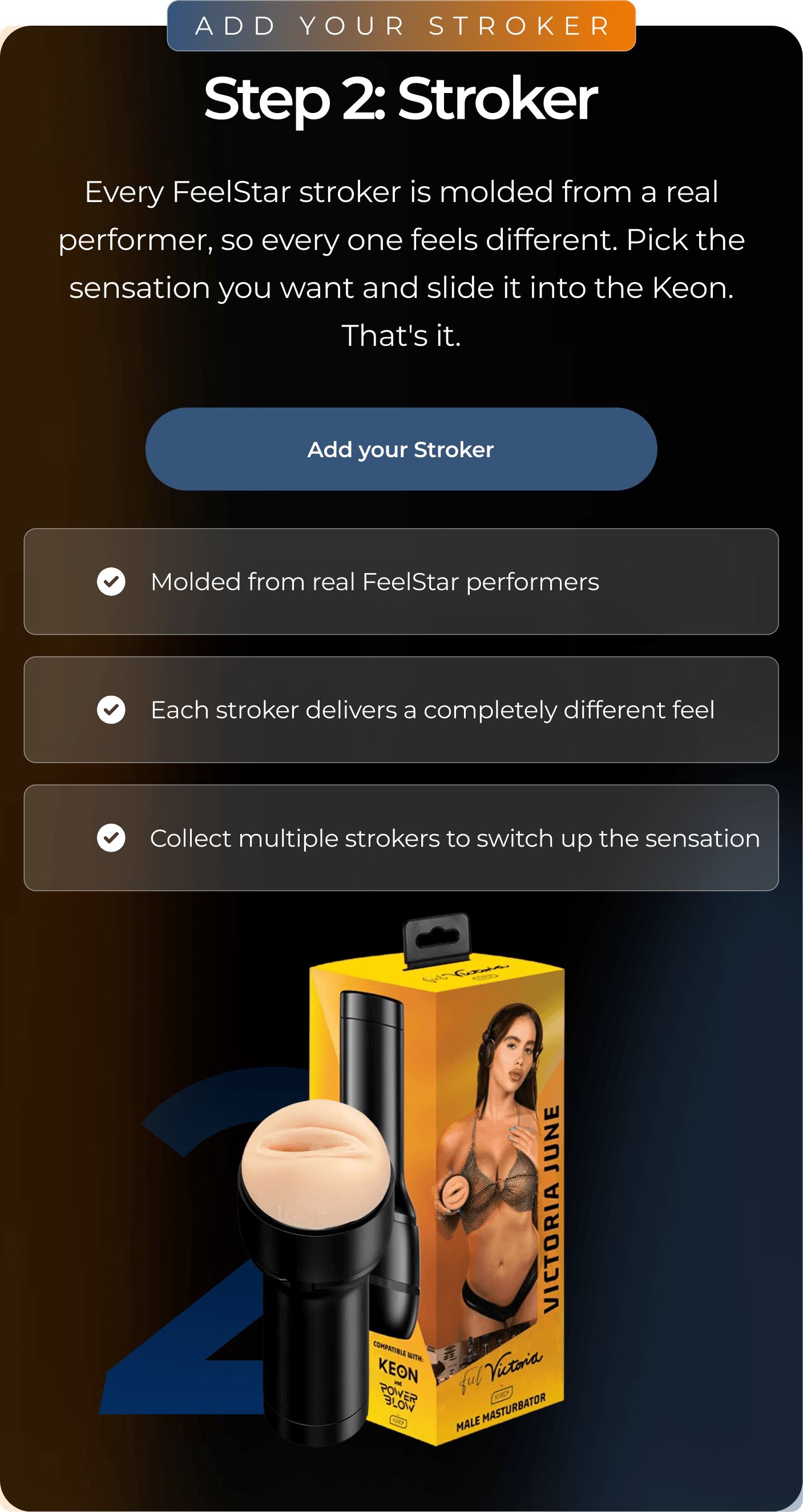 Step 2: Stroker