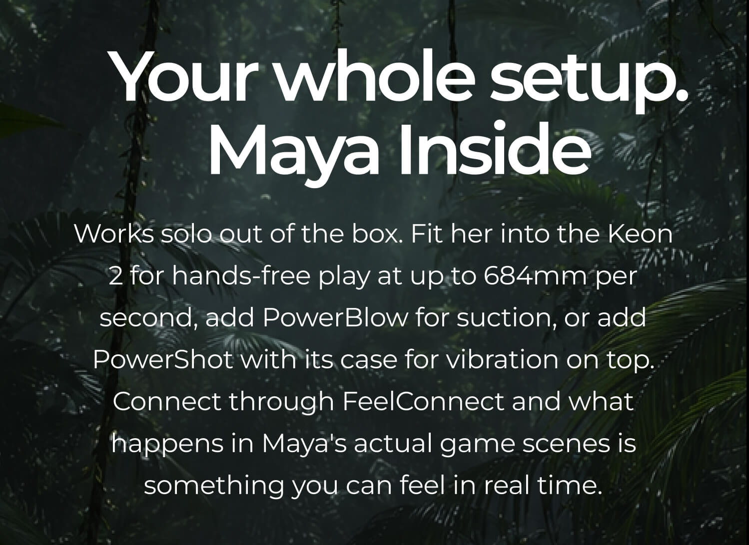 Your whole setup. Maya Inside