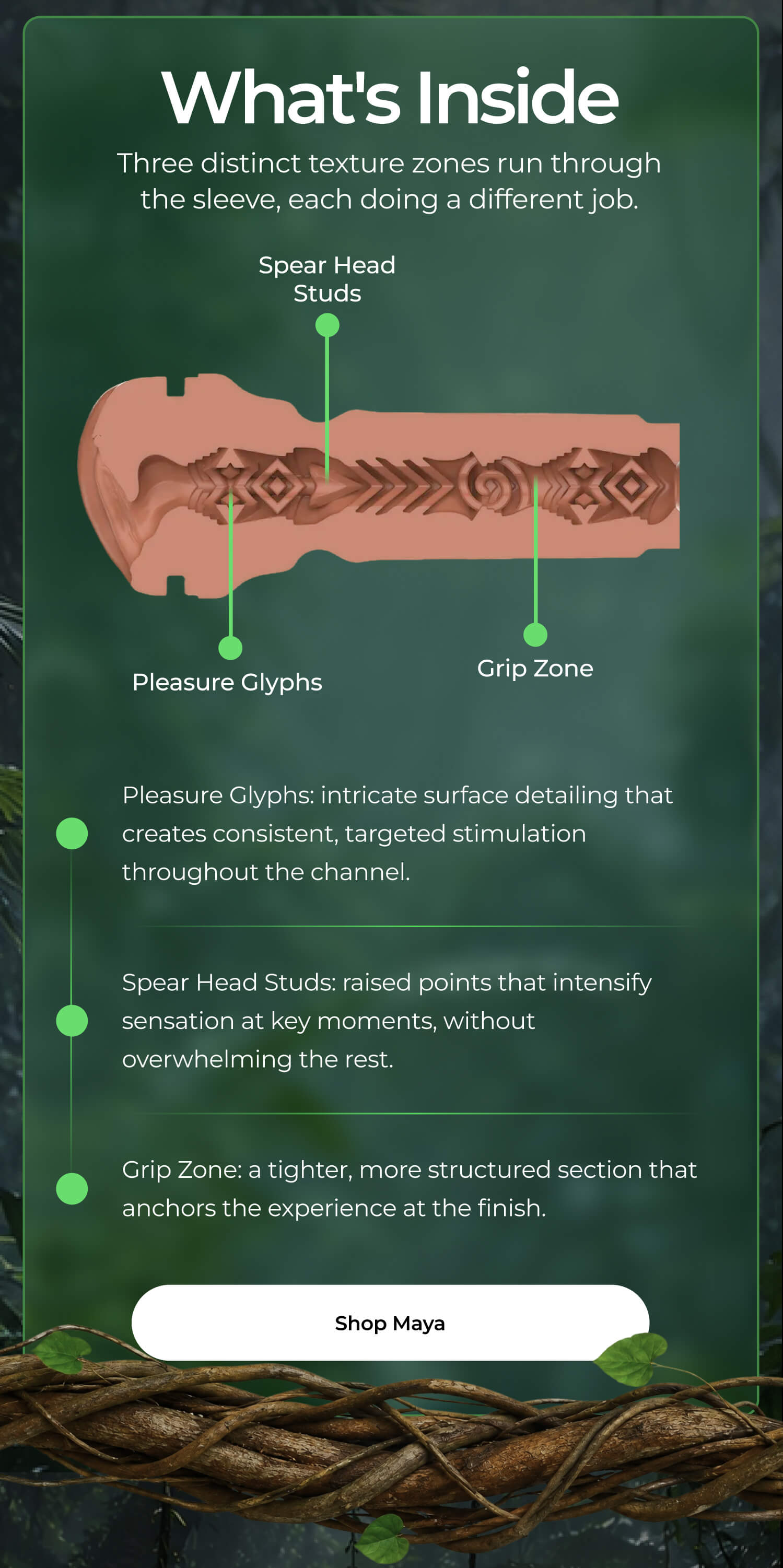 What's Inside