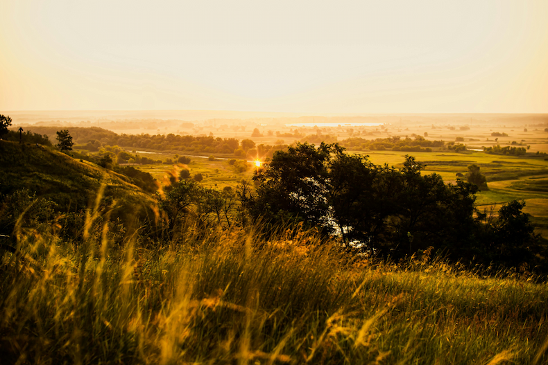  Landscape of golden hills in Virginia