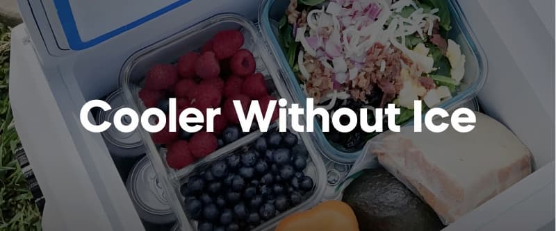 Cooler without Ice