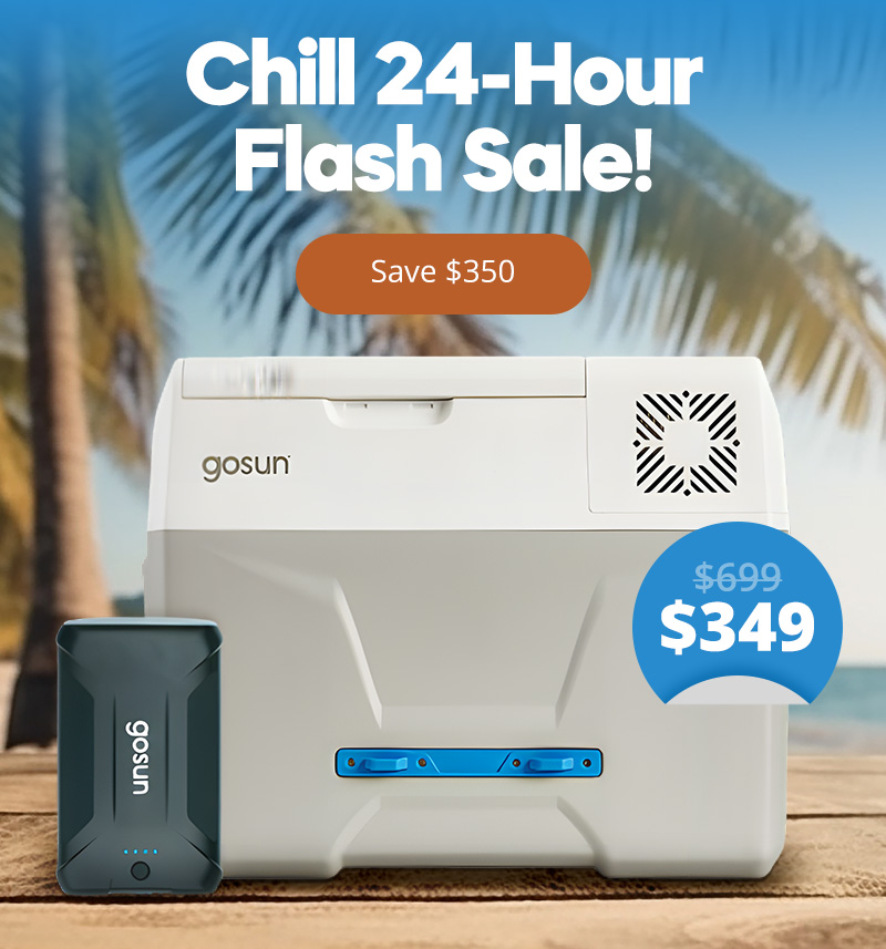 Chill Flash Sale