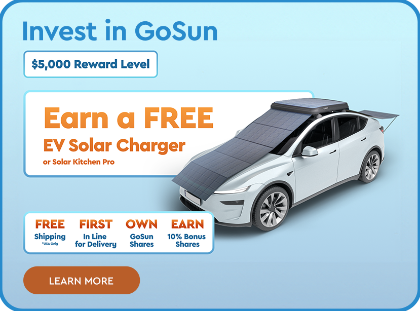 INVEST IN GOSUN