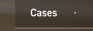 Cases