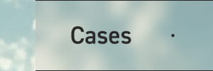 Cases