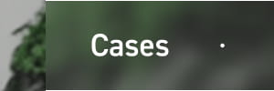 Cases