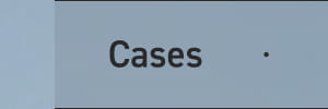 Cases