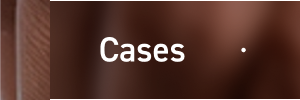 Cases