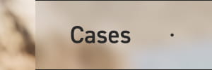 Cases
