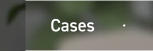 Cases