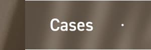 Cases