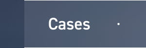 Cases