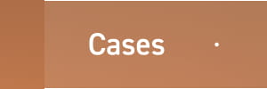 Cases