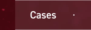 Cases
