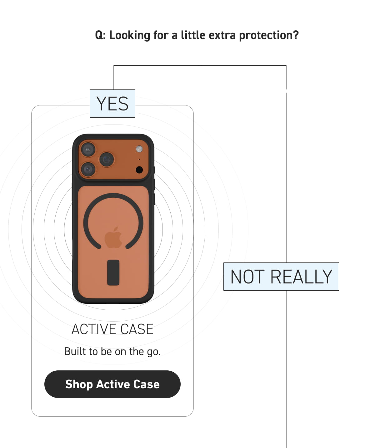 Active Case