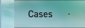 Cases