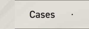Cases