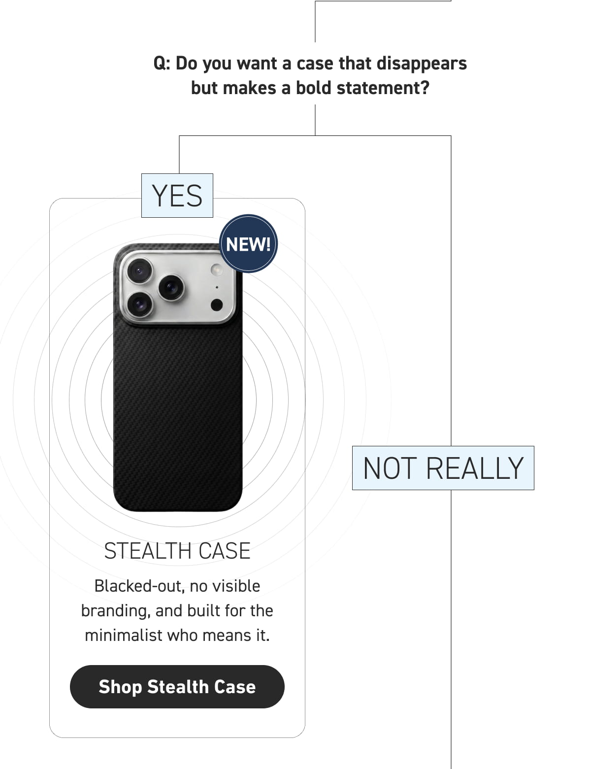 Stealth Case 