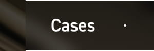 Cases
